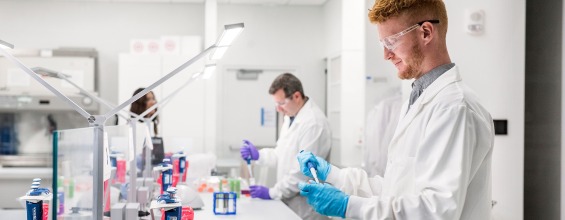 Scientists working in Lab Scientists working in Lab