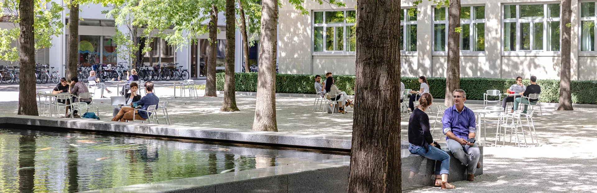People seated in a courtyard shaded by trees with  a large pond to the left