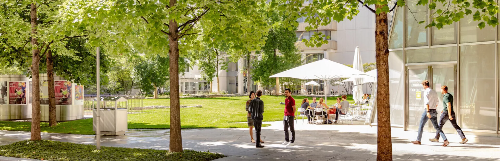 Two people in conversation amongst trees and lawns on campus