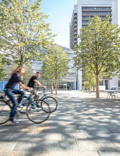 People riding bicycles on the Novartis Campus