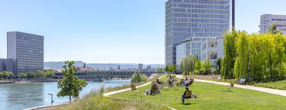 People on a green lawn overlooking the Rhine river, with campus buildings in the background