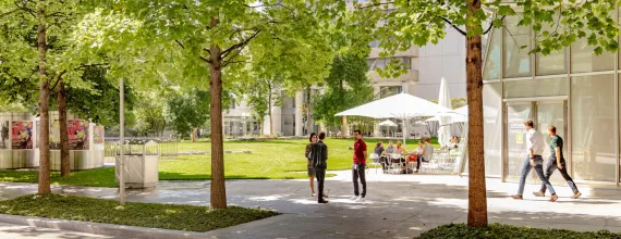 Two people in conversation amongst trees and lawns on campus