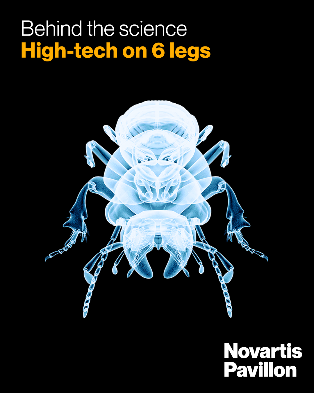 BTS_Insekten_Text