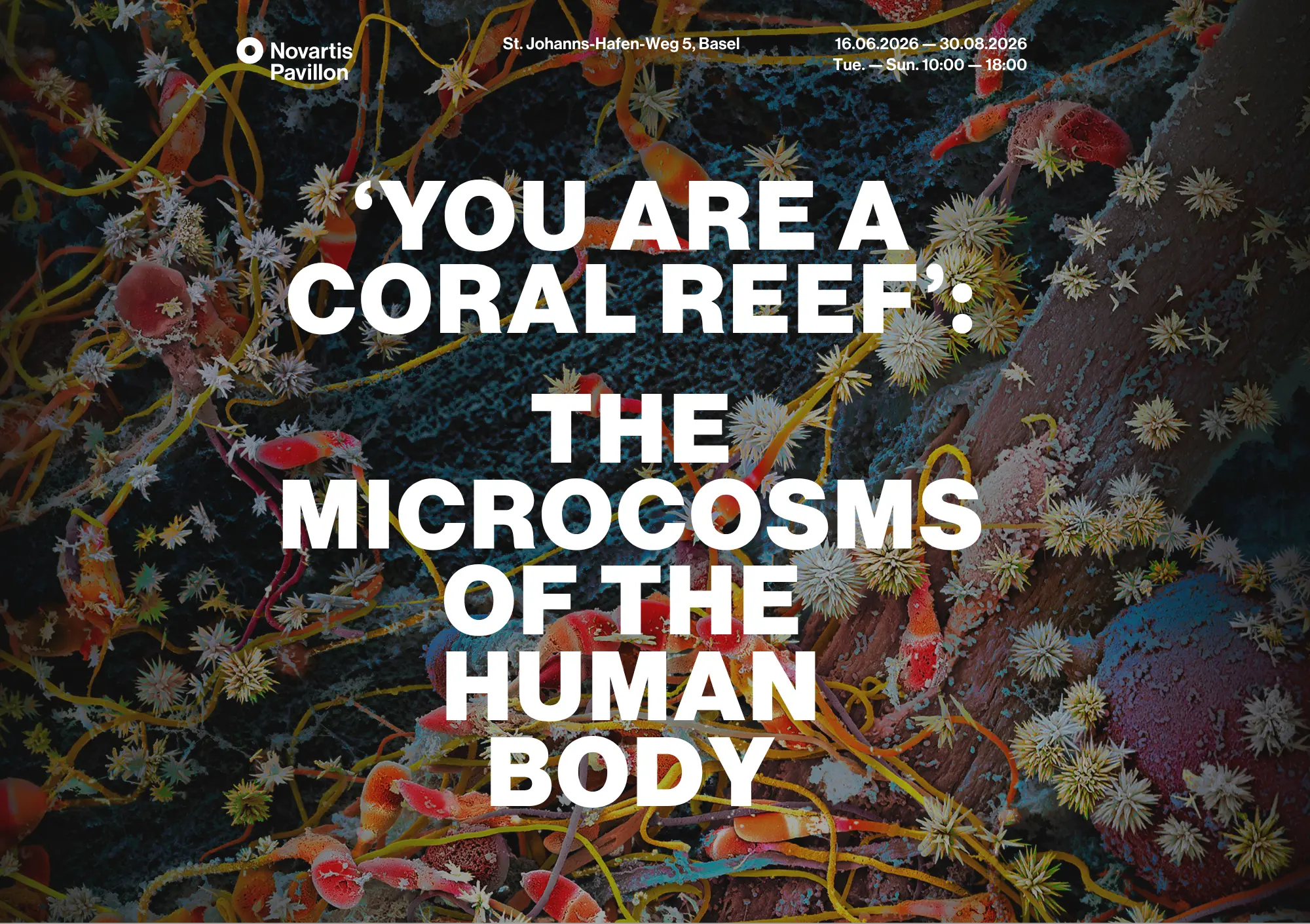 Hero Image You are a coral Reef