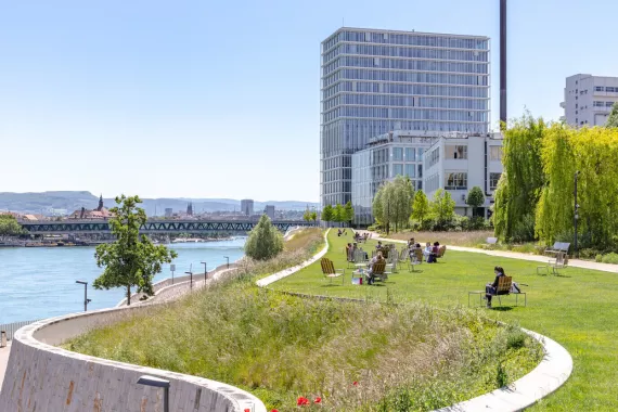 People on a green lawn overlooking the Rhine river，with campus buildings in the background