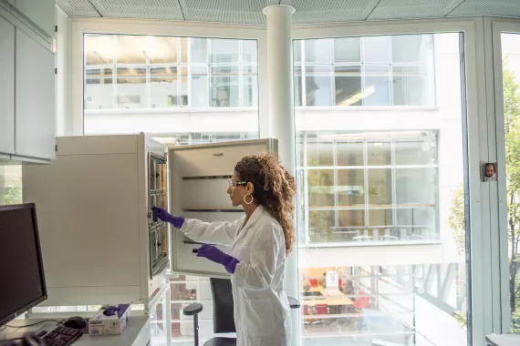 Scientist in a lab A scientist in a lab coat searching for items in an open cupboard